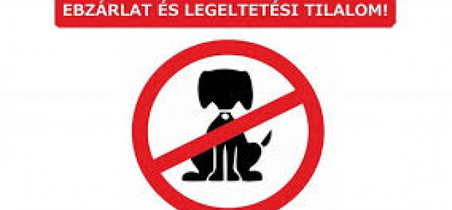 ebzarlat crop 644x300